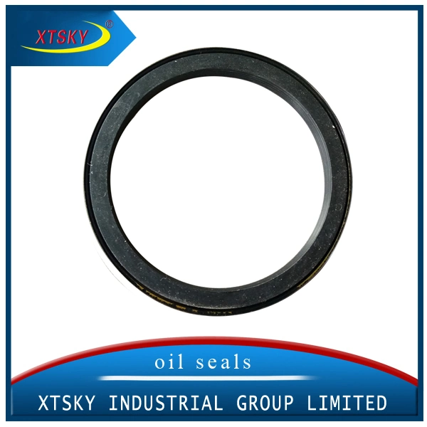 High Quality and Competitive Price Seal Vg1246010005 in Xtsky