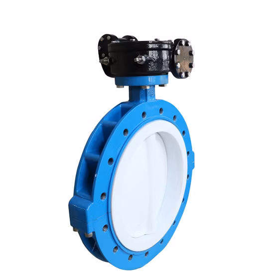 API U Type Flanged Butterfly Valve Wth Loose Liner Rubber Seat for Marine and Industry