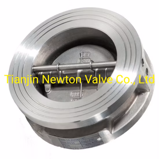Wcb CS Carbon Steel Wafer Duo Plate Check Valve NBR/Buna
