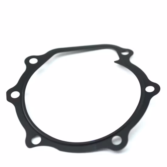 Factory Custom Nr EPDM Washers Shock Absorption Rubber Gasket for Sewage Pump, Water Pump