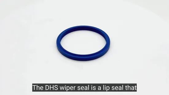 Dhs PU Rubber Gaskets Sealing Strip Y