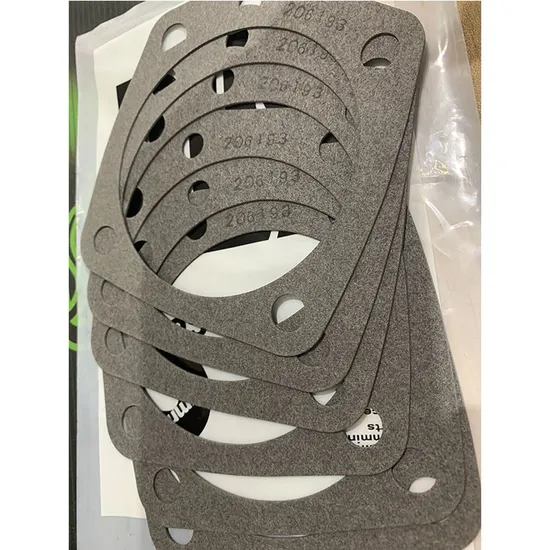 Cummins Engine Part Water Pump Gasket 206193 for Cummins K38/Qsk38 Engine 