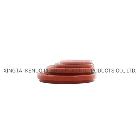 High Quality Customized Various Tc NBR FKM Rubber Oil Dust Seal for More Then 5000 Items in Stock 