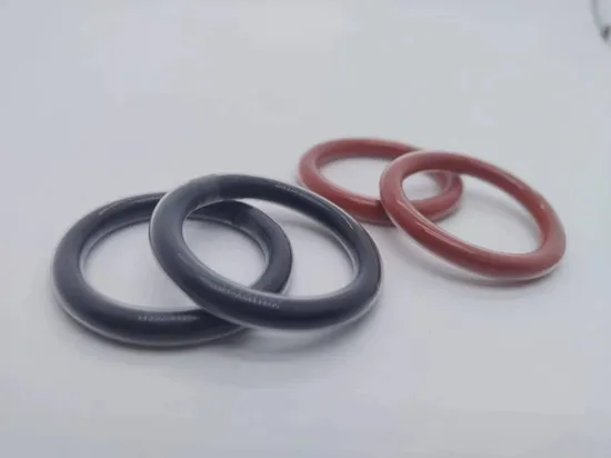 None Toxic Sealing Medical and Chemical Seals PFA FEP FKM Silicone Ecapsulsated O