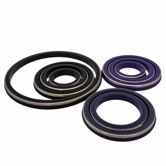 Rubber/FKM Seals X