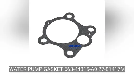 Water Pump Gasket 663