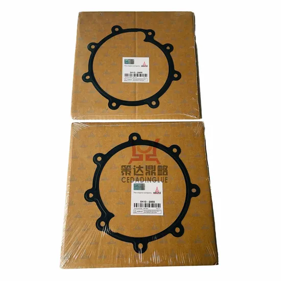 Deutz Diesel Engine Parts Overhaul Water Pump Gasket 04102159 04102955 
