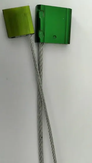 High Quality Factory Price Cable Seal for Container 
