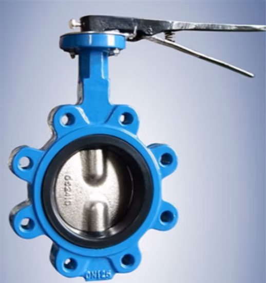 Lug Concentric Butterfly Valve EPDM Seat Rubber Seat